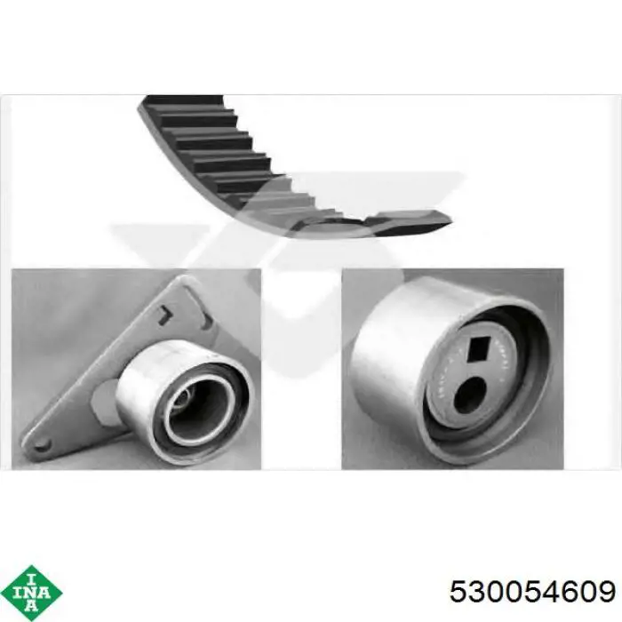 Kit de distribución 530054609 INA