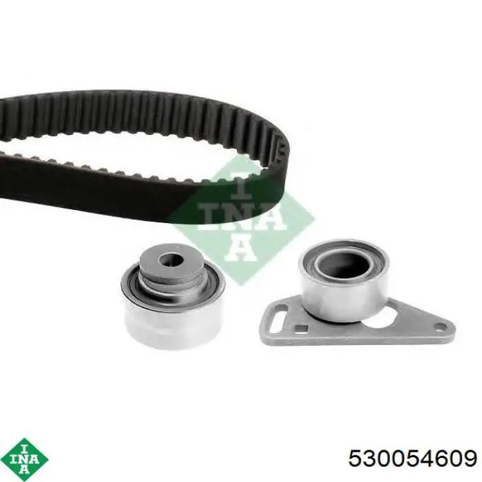 Comprar 530054609 INA Kit de correa de distribución