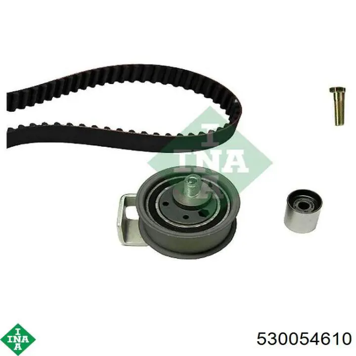 Comprar 530054610 INA Kit de correa de distribución