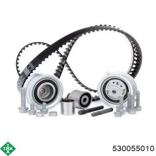 Kit de distribución 530055010 INA
