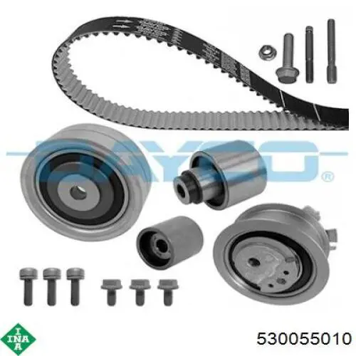 530055010 INA Kit correa de distribución