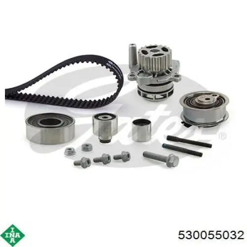 Kit de distribución 530055032 INA