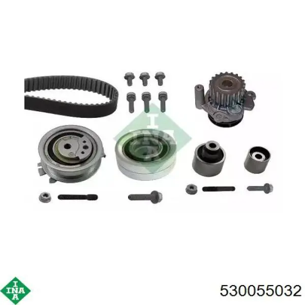 Kit distribución INA 530055032