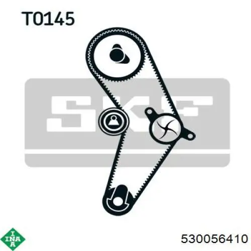 530056410 INA kit correa de distribución