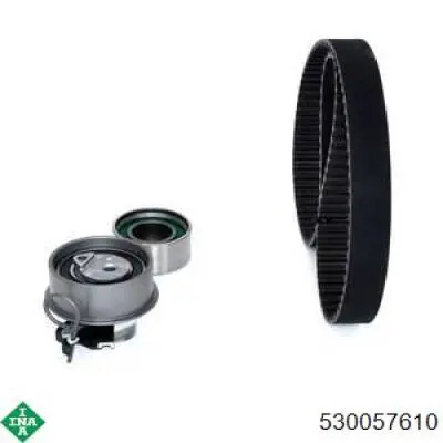 Comprar 530057610 INA Kit de correa de distribución