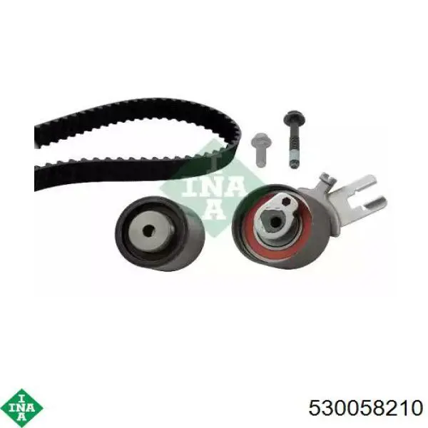 Comprar 530058210 INA Kit de correa de distribución