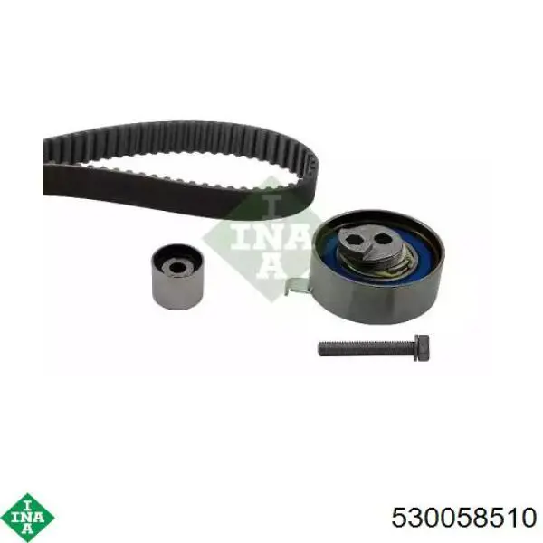 Kit de distribución 530058510 INA
