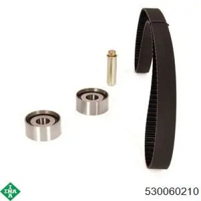 Comprar 530060210 INA Kit de correa de distribución