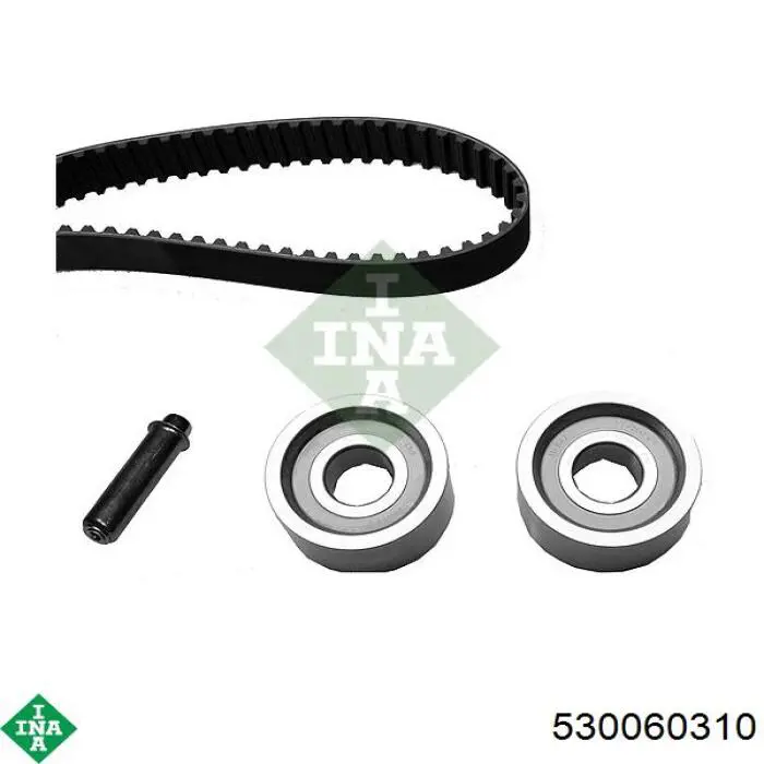 Juego de correas dentadas INA 530060310 precio, desde 220,01 EUR