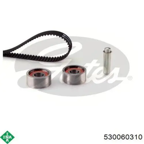 Comprar 530060310 INA Kit de correa de distribución