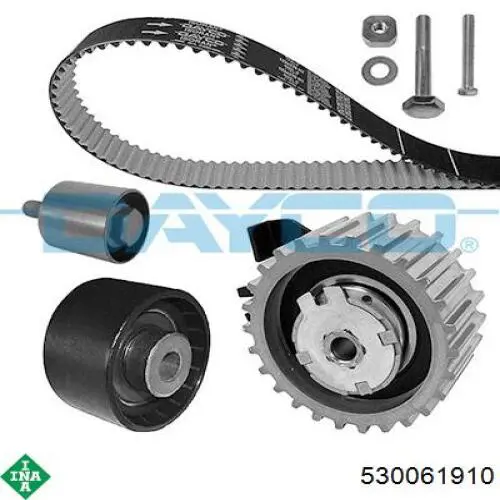 Comprar 530061910 INA Kit de correa de distribución