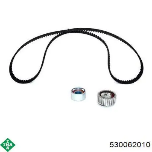 Kit de distribución 530062010 INA