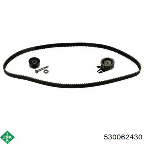 Kit de distribución 530062430 INA