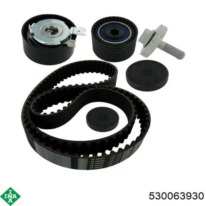 Comprar 530063930 INA Kit de correa de distribución