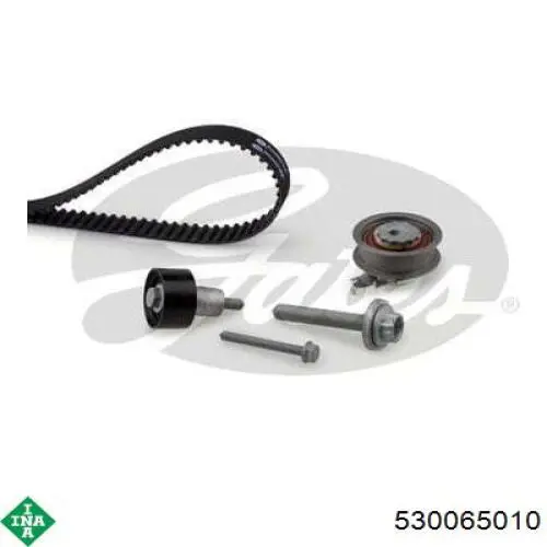 Comprar 530065010 INA Kit de correa de distribución