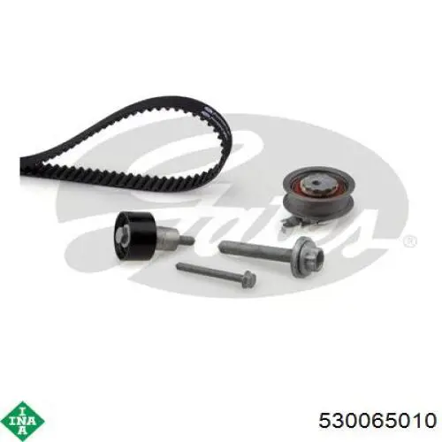530065010 INA Kit correa de distribución