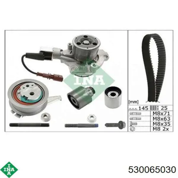 530 0650 30 INA kit de distribución