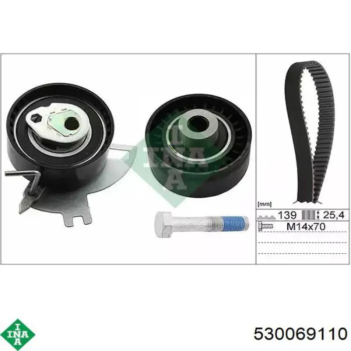 Comprar 530069110 INA Kit de correa de distribución