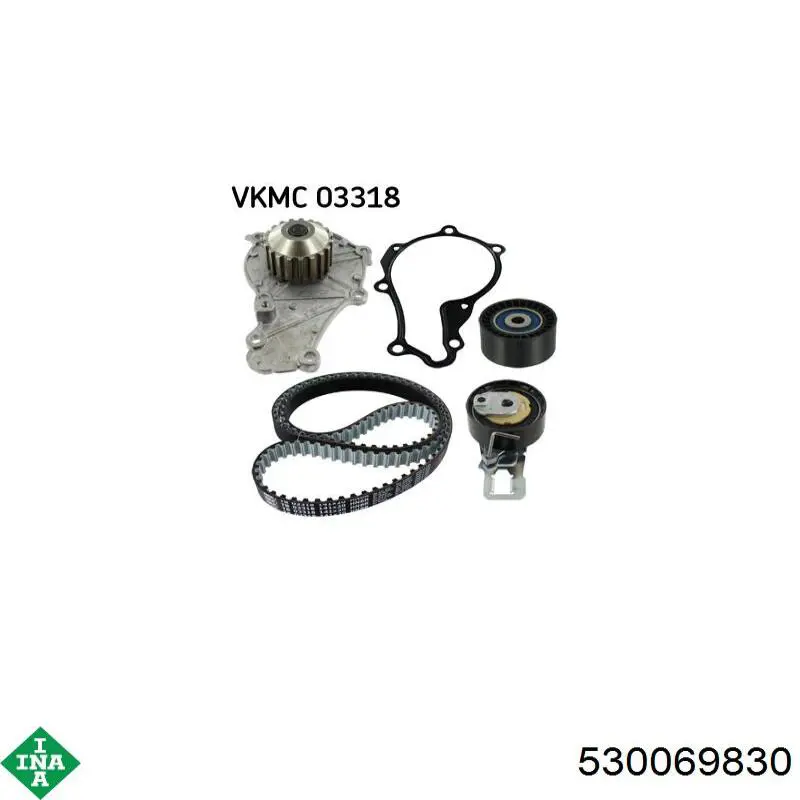 Comprar 530069830 INA Kit de correa de distribución