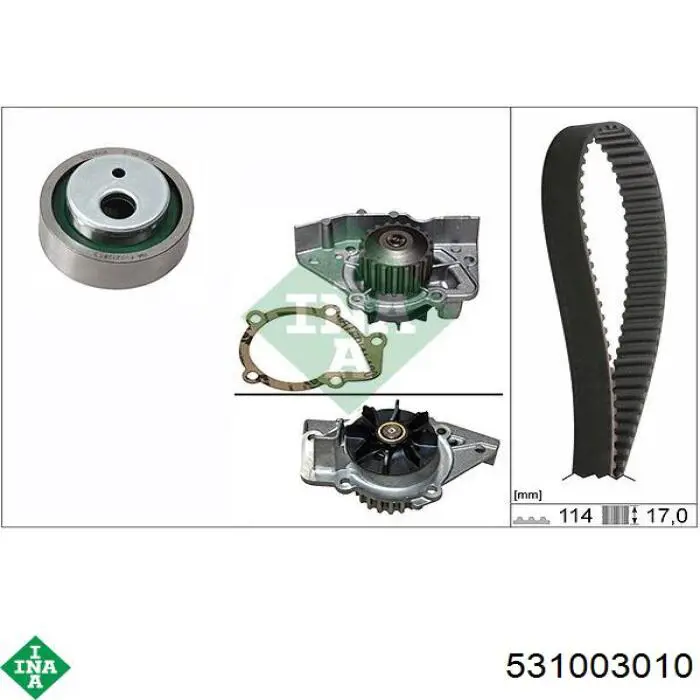 Tensor de la correa de distribución INA 531003010 precio, desde 16,09 EUR