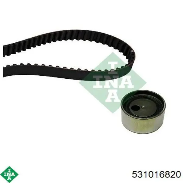 Tensor de la correa de distribución INA 531016820 precio, desde 69,19 EUR