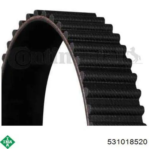 Tensor de la correa de distribución Koyo DG2450B2RKD1 precio, desde 25,15 EUR