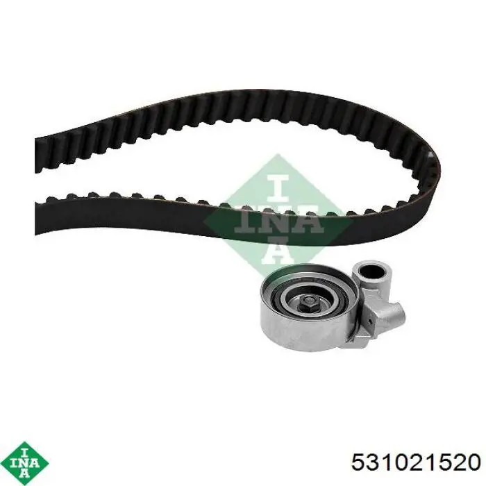 Rodillo tensor cadena INA 531021520