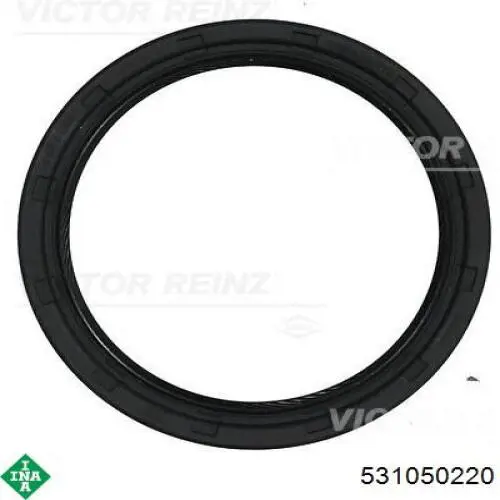 Tensor de la correa de distribución INA 531050220 precio, desde 224,31 EUR