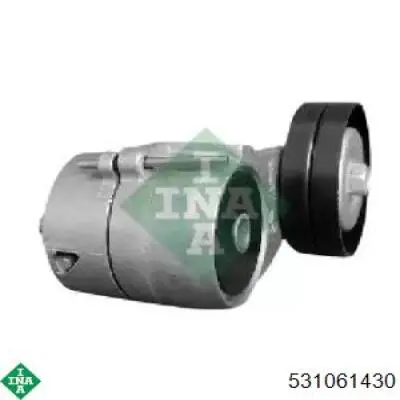 Comprar 531061430 INA Tensor de correa poli V 