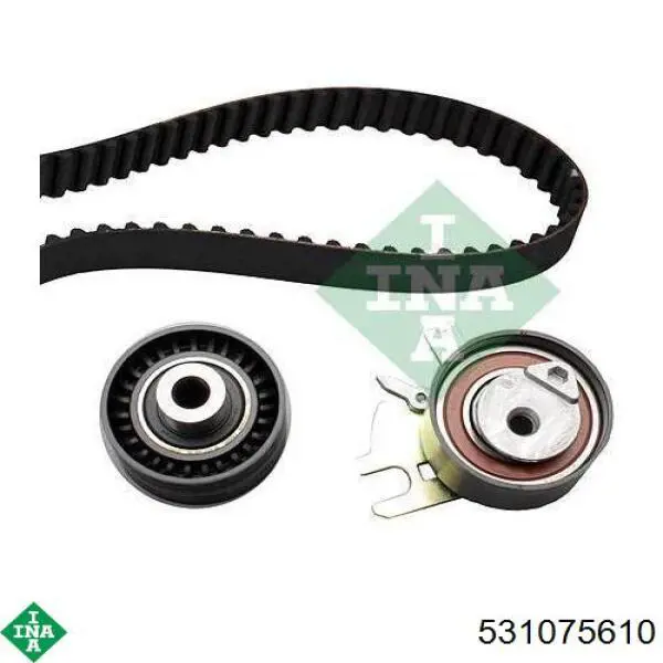 Comprar 531075610 INA Tensor correa distribución