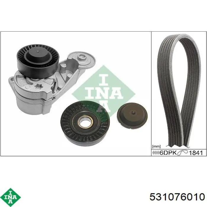 Comprar 531076010 INA Polea tensora, correa poli V