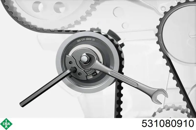 Tensor de la correa de distribución INA 531080910 precio, desde 41,09 EUR