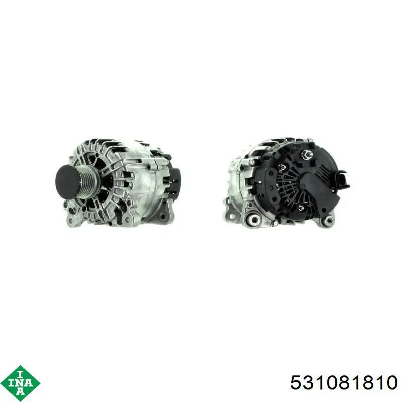 Tensor de la correa de distribución INA 531081810 precio, desde 21,24 EUR