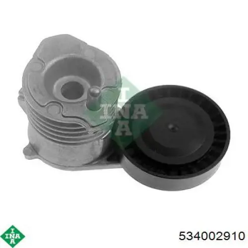 Tensor de correa poli V 534002910 INA