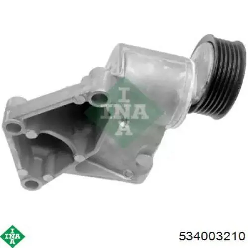 Tensor de correa poli V 534003210 INA