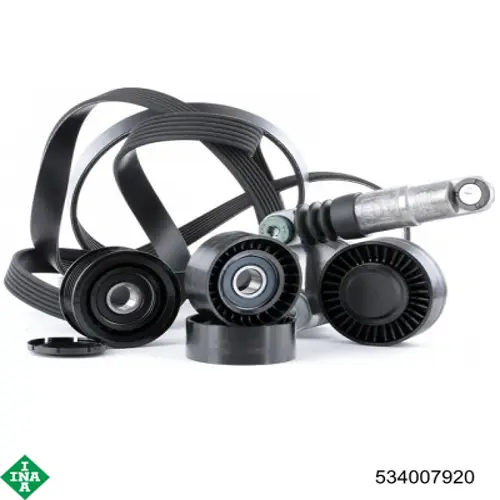 Soporte del tensor de la correa de transmisión INA 534007920 precio, desde 94,50 EUR