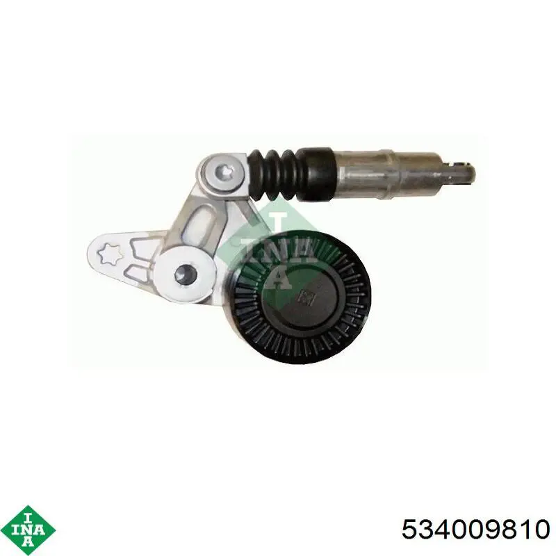 Tensor de correa poli V 534009810 INA