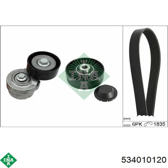 Tensor de la correa trapecial INA 534010120 precio, desde 17,92 EUR
