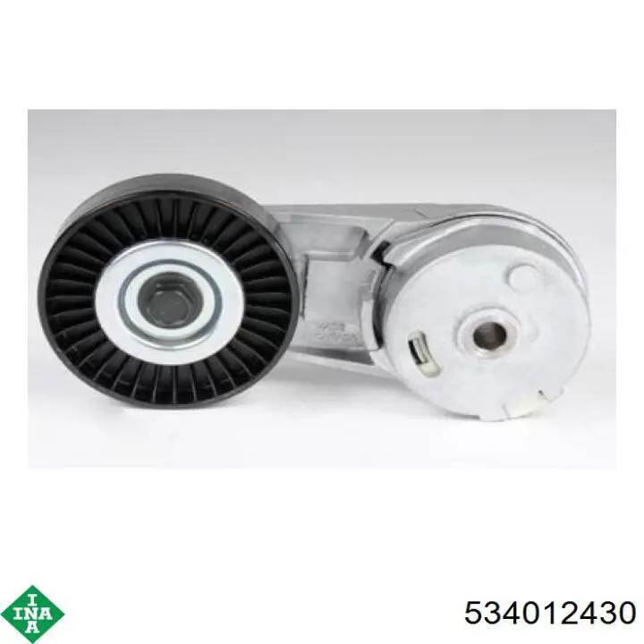 Comprar 534012430 INA Tensor de la correa trapecial
