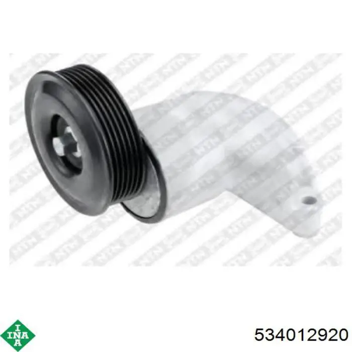 Tensor de la correa trapecial INA 534012920 precio, desde 95,29 EUR