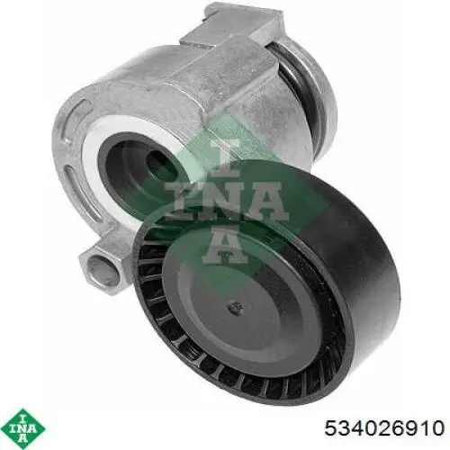 Tensor de correa poli V 021510 Cautex