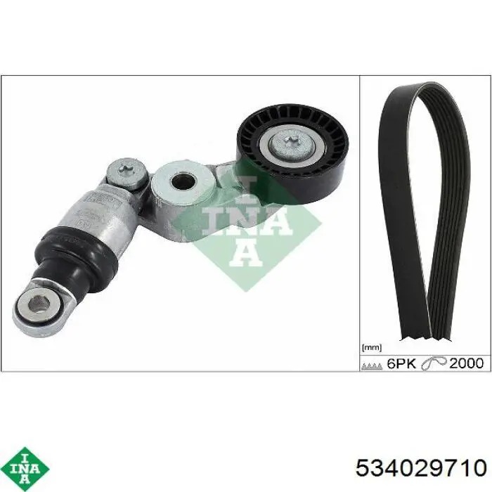 Tensor de la correa trapecial INA 534029710 precio, desde 160,00 EUR