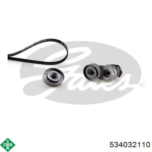 Tensor de la correa trapecial INA 534032110 precio, desde 77,02 EUR