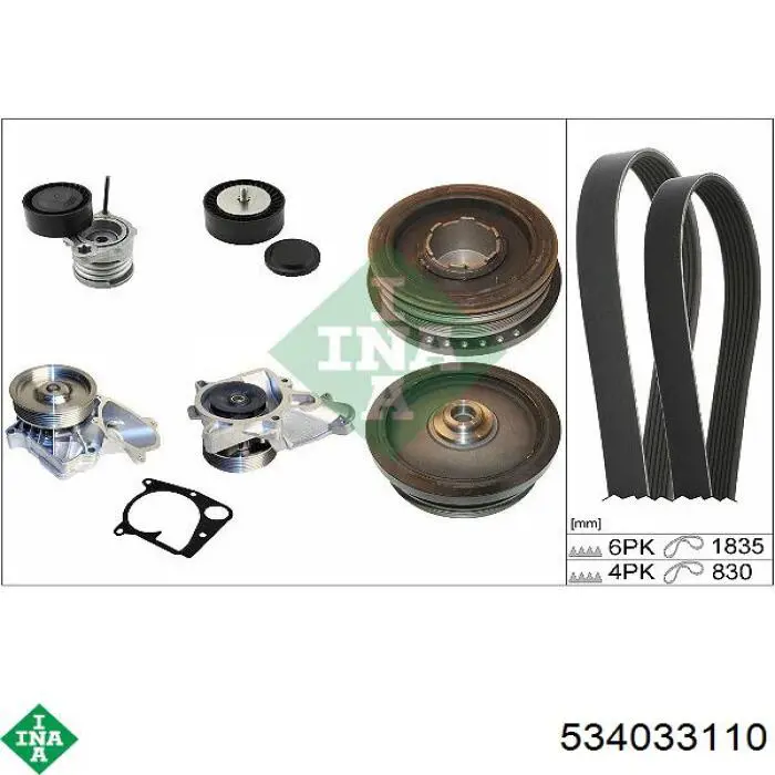 Tensor de la correa trapecial INA 534033110 precio, desde 66,88 EUR