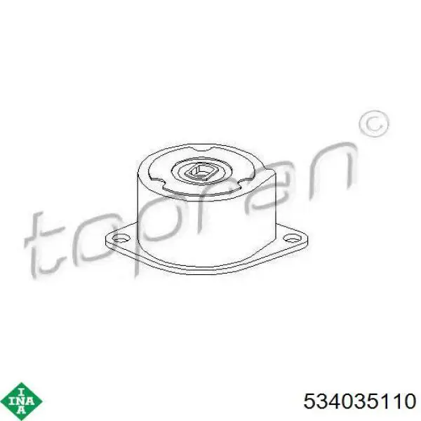 Comprar 534035110 INA Tensor de correa poli V 