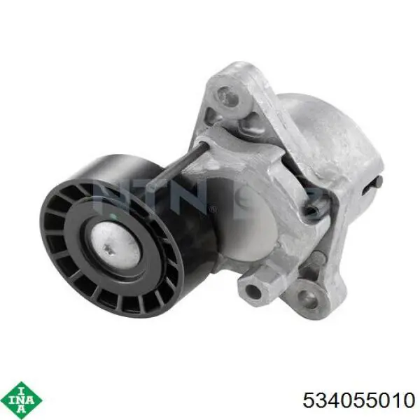 Tensor de la correa trapecial INA 534055010 precio, desde 49,75 EUR