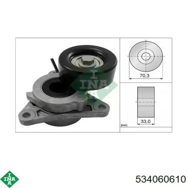 534060610 INA Tensor de correa de alternador