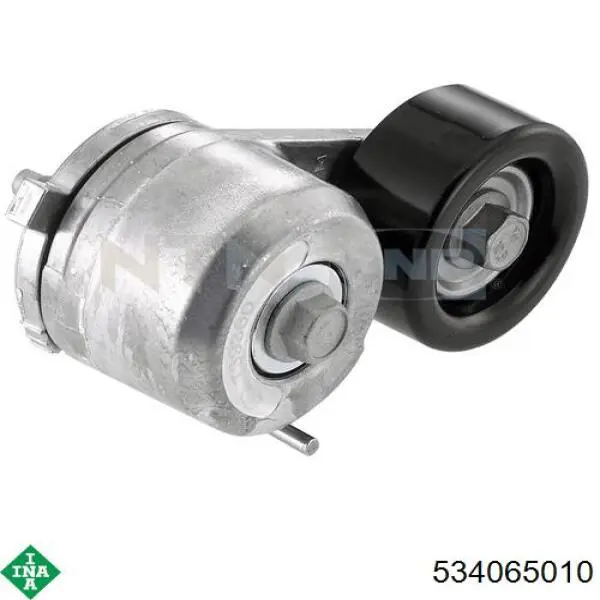 Tensor de la correa trapecial INA 534065010 precio, desde 69,85 EUR