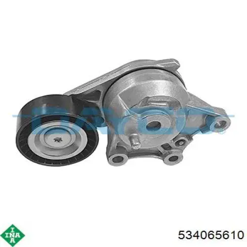 534065610 INA Tensor de correa de alternador