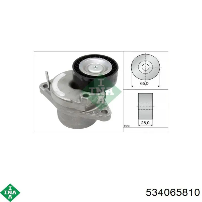 Rodillo tensor correa poli V INA 534065810 precio, desde 49,10 EUR